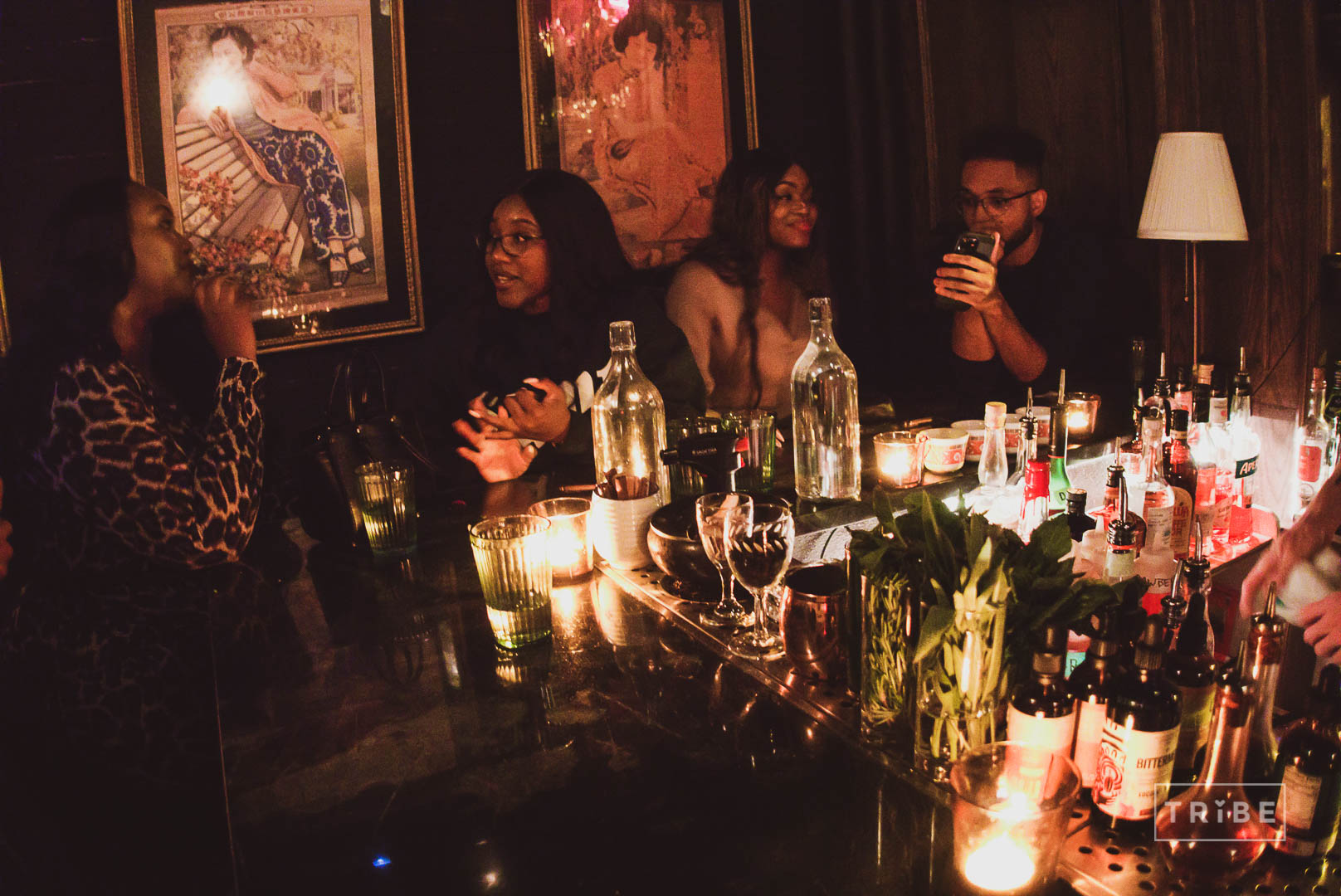Guests gathered at a C-Tribe evening event